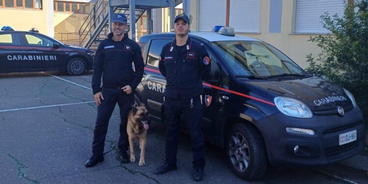 A scuola di legalità con l’aiuto dei cani: i carabinieri incontrano gli alunni a Sardara e San Gavino Monreale