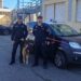 A scuola di legalità con l’aiuto dei cani: i carabinieri incontrano gli alunni a Sardara e San Gavino Monreale
