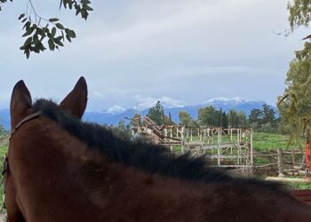 Spunta la neve anche a Villacidro: cime imbiancate e tanto freddo, l’estate è veramente solo un ricordo