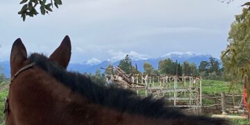 Spunta la neve anche a Villacidro: cime imbiancate e tanto freddo, l’estate è veramente solo un ricordo