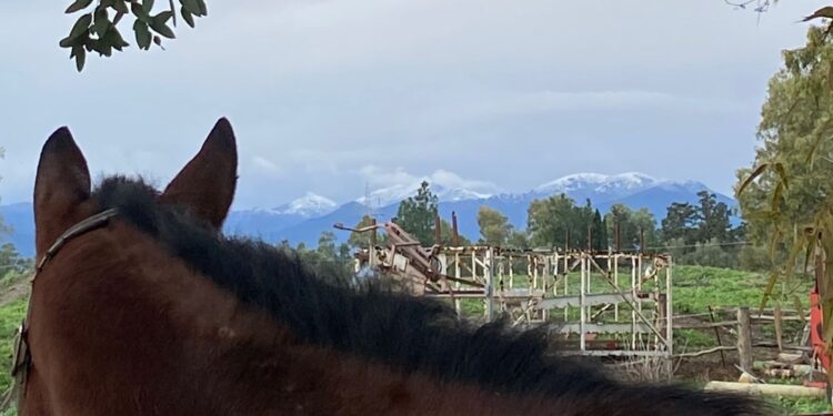 Spunta la neve anche a Villacidro: cime imbiancate e tanto freddo, l’estate è veramente solo un ricordo