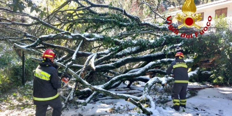 San Leonardo, allarme per la caduta di alcuni alberi: in azione i vigili del fuoco