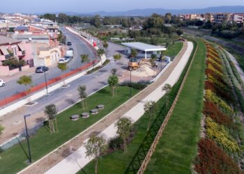 Sestu, gli alberi come prevenzione dei rischi idrogeologici del territorio