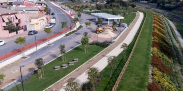 Sestu, gli alberi come prevenzione dei rischi idrogeologici del territorio