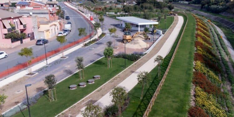 Sestu, gli alberi come prevenzione dei rischi idrogeologici del territorio