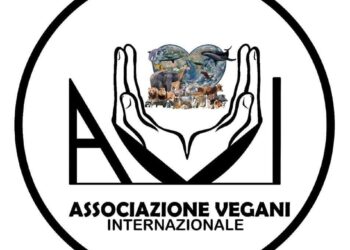 Rally, associazioni animaliste :”No nelle aree protette, diffida agli enti e richiesta di revoca immediata”
