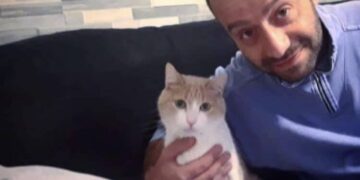 Igor Sollai incastrato dai punti esclamativi che Francesca non usava mai nelle chat: le dimissioni per incassare il Tfr della moglie