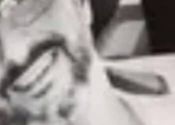 Omicidio Marco Veronese, confessa il fidanzato dell’ex compagna