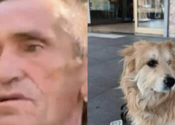 Cagliari, avvistato 3 giorni fa a San Michele Renato Tassi, conosciuto come Renè: “Ha una testa e un cuore ineguagliabili“