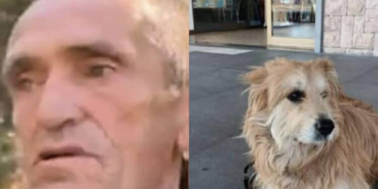 Cagliari, avvistato 3 giorni fa a San Michele Renato Tassi, conosciuto come Renè: “Ha una testa e un cuore ineguagliabili“