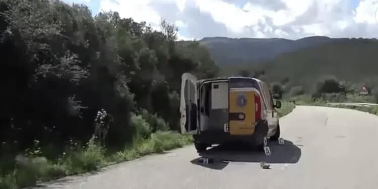 Rapine nel nuorese, si consegna il settimo della banda Peppino Puligheddu