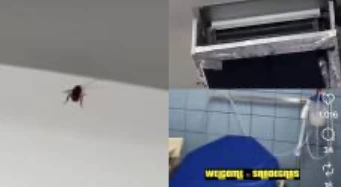 Blatte in ospedale, al Sirai di Carbonia sono stati filmati gli animali in un locale del nosocomio: il video diventa virale