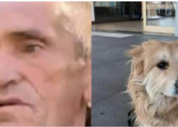 La storia di Renè Tassi, ritrovato grazie al suo cane Magic: “Si trova a Barcellona”