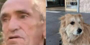 La storia di Renè Tassi, ritrovato grazie al suo cane Magic: “Si trova a Barcellona”