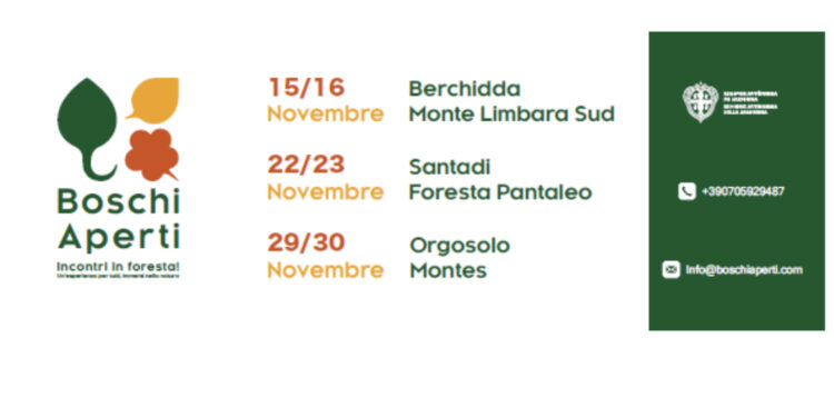 Boschi Aperti 2025: esordio straordinario a Berchidda tra sentieri, natura e grande partecipazione