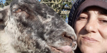 Pastori sardi condannati per la guerra del latte: “Puniti per una battaglia del cuore”