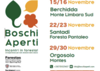 “Boschi Aperti”: ottima risposta del pubblico a Santadi e appuntamento rinnovato a Orgosolo il 29 e 30 novembre