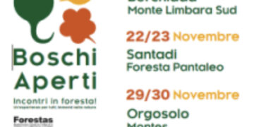 “Boschi Aperti”: ottima risposta del pubblico a Santadi e appuntamento rinnovato a Orgosolo il 29 e 30 novembre