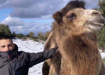 Ovodda, si allarga la famiglia di Michele Ladu: ecco il nuovo arrivato Lindo