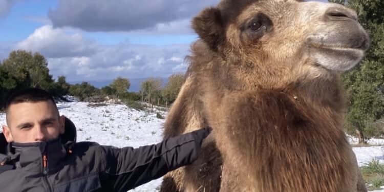 Ovodda, si allarga la famiglia di Michele Ladu: ecco il nuovo arrivato Lindo