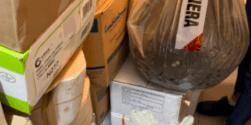 Cagliari, cozze e ostriche prive di tracciabilità in un ristorante etnico: sanzioni e sequestri