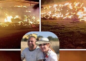 Fienile in fiamme a Sestu, scatta la solidarietà verso la famiglia Ferru