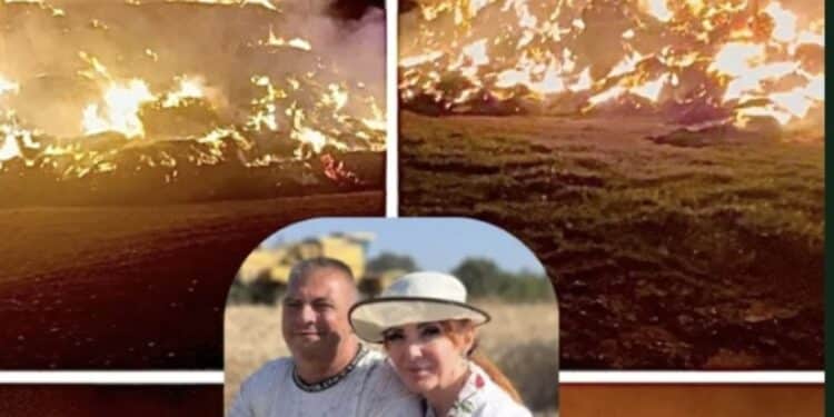 Fienile in fiamme a Sestu, scatta la solidarietà verso la famiglia Ferru