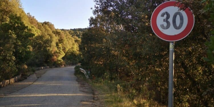 Animali salvi, spostato il percorso del 1° Rally a Cagliari