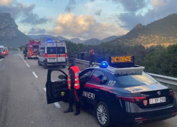 Ballao, un cinghiale gli taglia la strada: 20enne si schianta con l’auto