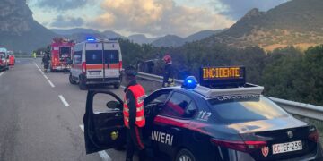 Ballao, un cinghiale gli taglia la strada: 20enne si schianta con l’auto