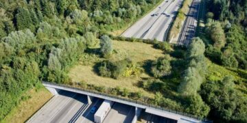 Sardegna, il Grig: “Ora la colpa degli incidenti stradali è dei cinghiali e dei cervi? Dove sono i 500 mila euro stanziati?”