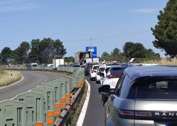 “Selargius, la 554 trasformata in un viale alberato per romantiche passeggiate? Impossibile, troppo pericolosa e inquinata”