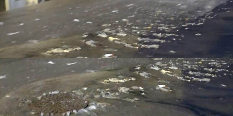 Quartucciu, scarichi in strada dopo dopo ogni acquazzone: l’asfalto si trasforma in un wc a cielo aperto