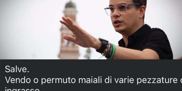 “Sardi mostri senza cuore”, è polemica dopo le accuse degli animalisti