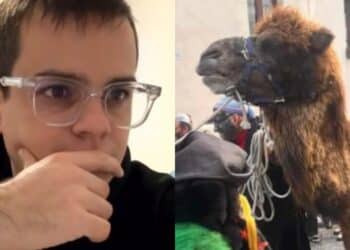 Ovodda, ucciso cammello a coltellate: “Un gesto da veri criminali”