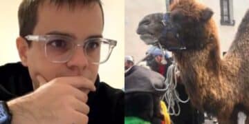 Ovodda, ucciso cammello a coltellate: “Un gesto da veri criminali”