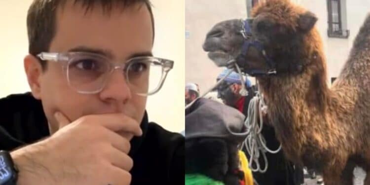 Ovodda, ucciso cammello a coltellate: “Un gesto da veri criminali”