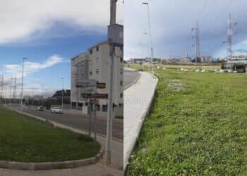 Selargius, a Is Corrias oltre cento alberi per combattere lo smog  della statale 554