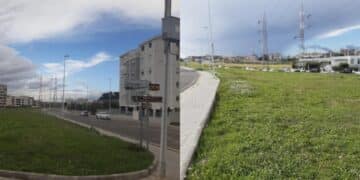 Selargius, a Is Corrias oltre cento alberi per combattere lo smog  della statale 554