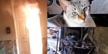 Monserrato, incendio doloso distrugge la casa dove vivevano una donna, il suo compagno e la sorella: appello per aiutarli