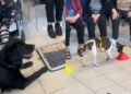 Quartu Sant’Elena, gli amici a quattro zampe con gli anziani della struttura: la pet therapy vola nei consensi