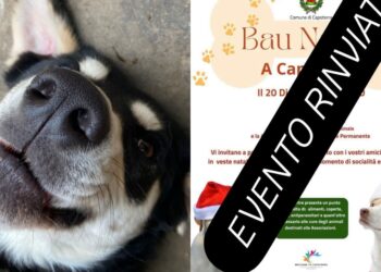 Capoterra, la pioggia ferma la sfilata dei cani: evento rinviato