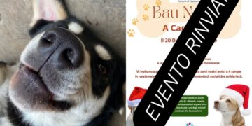 Capoterra, la pioggia ferma la sfilata dei cani: evento rinviato