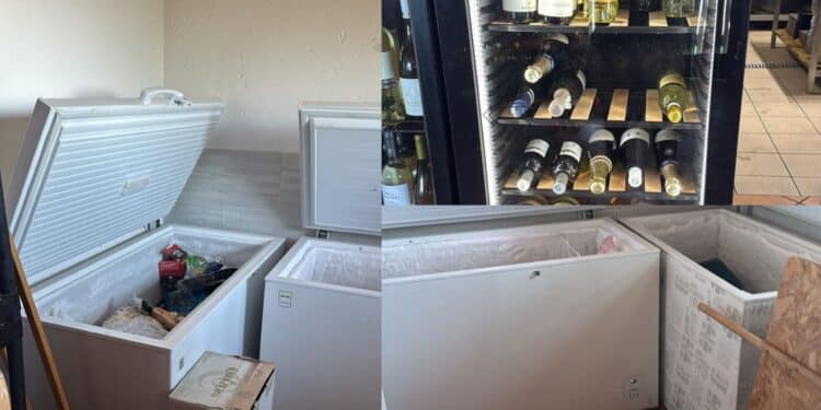 Furto in ristorante a Capoterra: rubati gamberoni, polpi e litri di vino