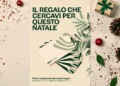 Gift Card floreali: il regalo di Natale naturale che fa sempre felici 🎄🌷 Fioricoltura Sorrentino ed Erminio Pani – Gruppo Sorrentino