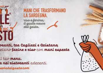 “Isole del Gusto: mani che trasformano la Sardegna, un piatto alla volta”