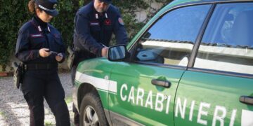Cagliari, pappagalli in vendita tenuti in condizioni precarie: i carabinieri denunciano la titolare di un negozio