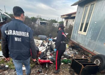Decimomannu, roghi illeciti e animali chiusi in baracche fatiscenti in una discarica abusiva: 2 arresti e 2 denunce