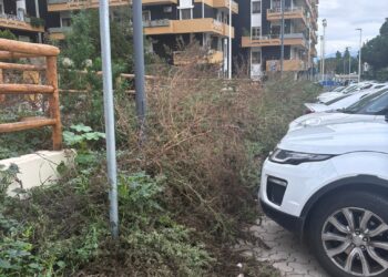 Cagliari, degrado e rischio sicurezza tra via Sarpi e via Cattaneo: “Segnalazioni ignorate, il Comune parla di mancanza di fondi”