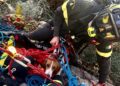 Masua, cane da caccia insegue un gregge di capre e resta bloccato: salvato dai vigili del fuoco